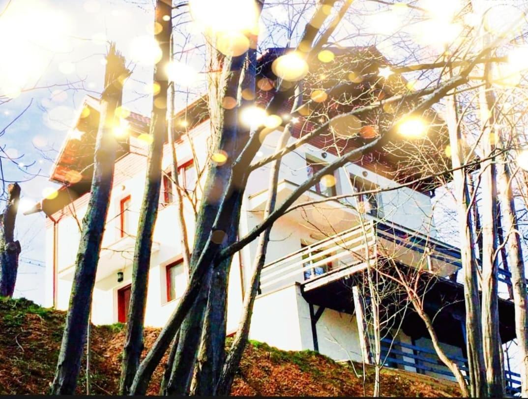 4Temporadas Bran (Brasov) Exterior foto